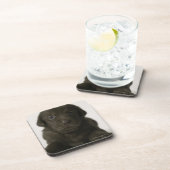 Bruine puppy, portret, close-up bier onderzetter (Rechterzijde)