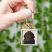 Bruine puppy, portret, close-up sleutelhanger (Hand)