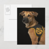 Bruine reddingshond met adoptievasje briefkaart (Voorkant / Achterkant)
