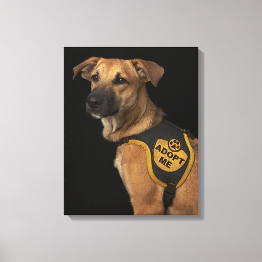 Bruine reddingshond met adoptievasje canvas afdruk (Voorkant)