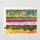 Bruine, regenboog en Brook-forel Vist Briefkaart (Voorkant / Achterkant)