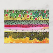 Bruine, regenboog en Brook-forel Vist Briefkaart (Voorkant)