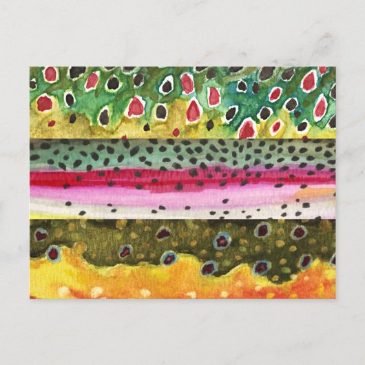 Bruine, regenboog en Brook-forel Vist Briefkaart (Voorkant)