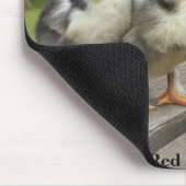 Bruine rode marans muismat (Hoek)