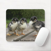 Bruine rode marans muismat (Met muis)