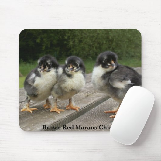 Bruine rode marans muismat (Met muis)