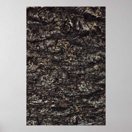 Bruine rots poster (Voorkant)