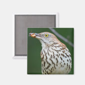 Bruine schaap met vangst van de dag magneet (Voorkant / Achterkant)