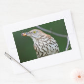 Bruine schaap met vangst van de dag rechthoekige sticker (Envelop)