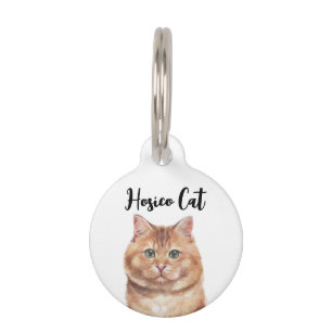 Bruine Schattige Hosico Kat Huisdierpenning