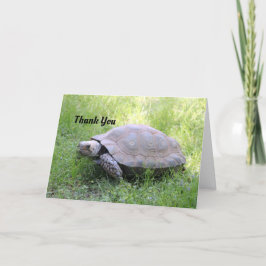 Bruine schildpad bedankkaart
