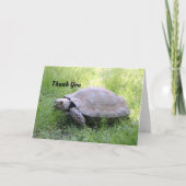 Bruine schildpad bedankkaart (Voorkant)