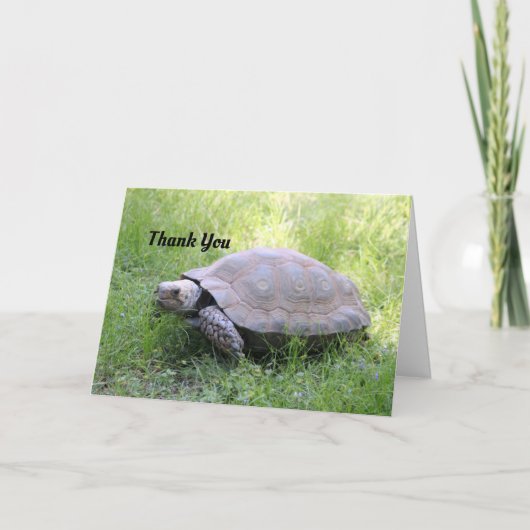 Bruine schildpad bedankkaart (Voorkant)