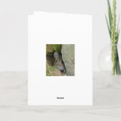 Bruine schotgelkaart met hare hare kaart (Achterkant)