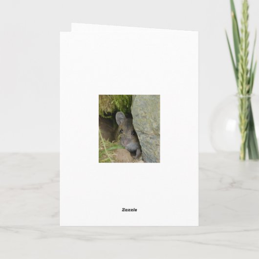 Bruine schotgelkaart met hare hare kaart (Achterkant)