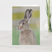 Bruine schotgelkaart met hare hare kaart (Voorkant)