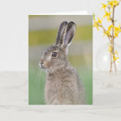 Bruine schotgelkaart met hare hare kaart (Gele Bloem)