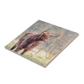 Bruine Schotse hooglandkoe in het voorjaar Tegeltje (Zijkant)