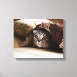 Bruine Schotse kattenpoot in bruine deken Canvas Afdruk