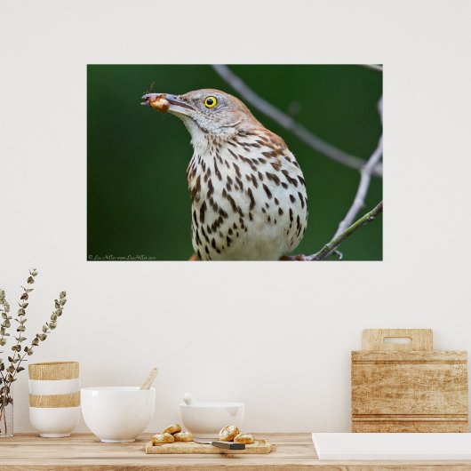 Bruine schroefdraad met Poster van de dag (Keuken)