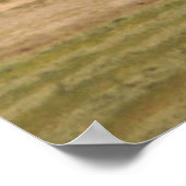 bruine schuur poster (Hoek)