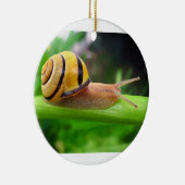 Bruine slak Cepaea Nemoralis Grove Snagel Keramisch Ornament (Rechts)