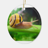 Bruine slak Cepaea Nemoralis Grove Snagel Keramisch Ornament (Links)