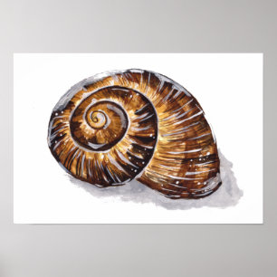 Bruine slakkenhuis poster