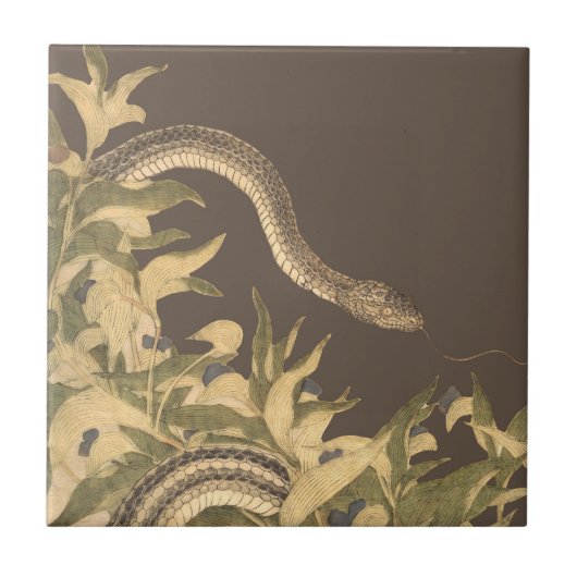 bruine slang tegeltje (Voorkant)