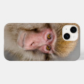 Bruine Sneeuwaap Fotografie, Japanse Wildlife Case-Mate iPhone Case (Achterkant (horizontaal))