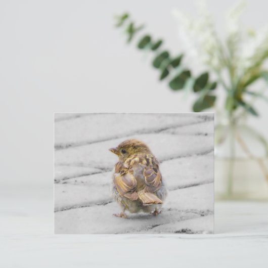 Bruine Sparrow Briefkaart (Staand voorkant)