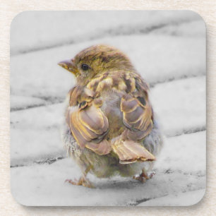 Bruine Sparrow Drankjes Onderzetter