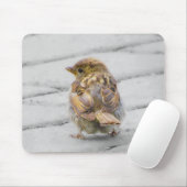 Bruine Sparrow Muismat (Met muis)