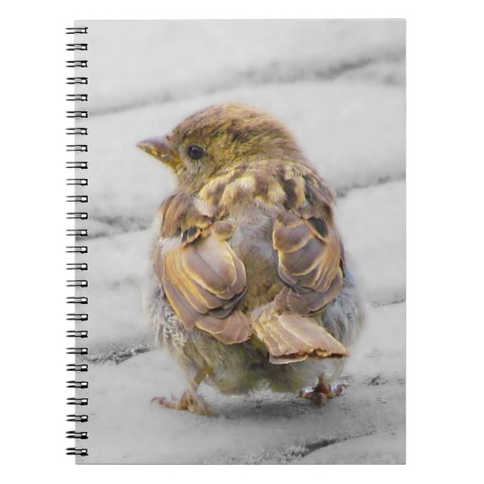 Bruine Sparrow Notitieboek (Voorkant)