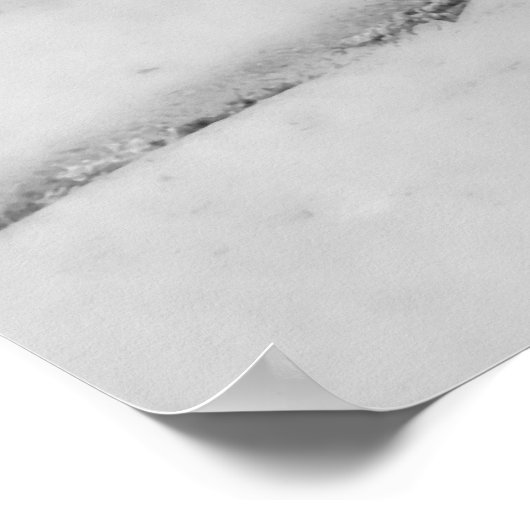 Bruine Sparrow Poster (Hoek)