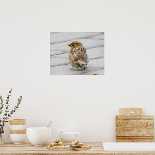 Bruine Sparrow Poster (Keuken)