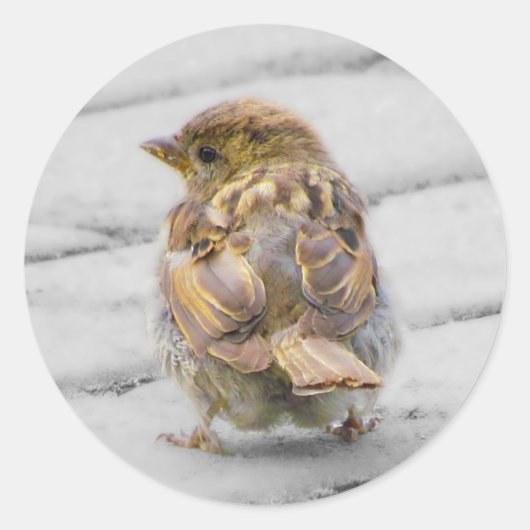 Bruine Sparrow Ronde Sticker (Voorkant)
