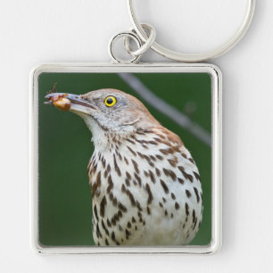 Bruine Spotlijster met Catch Of the Day Gifts Kled Sleutelhanger