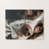 Bruine springer spaniel portret legpuzzel (Horizontaal)