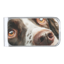 Bruine springer spaniel portret