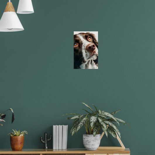 Bruine springer spaniel poster (Woonkamer 1)