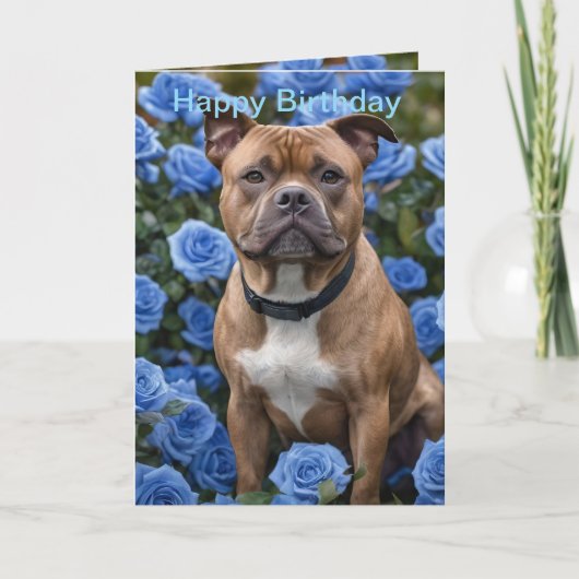Bruine Staffy in Blue Roos Garden, Bday Kaart (Voorkant)