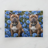 Bruine Staffy in Blue Roos Garden, Bday Kaart (Binnen)