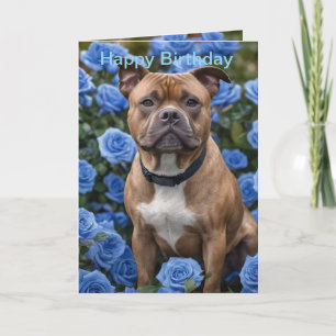 Bruine Staffy in Blue Roos Garden, Bday Kaart