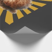 Bruine Standaard Poodle Retro Sunburst Cadeaupapier (Hoek)