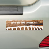 Bruine strepen_ bumpersticker (Op auto)