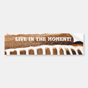 Bruine strepen_ bumpersticker