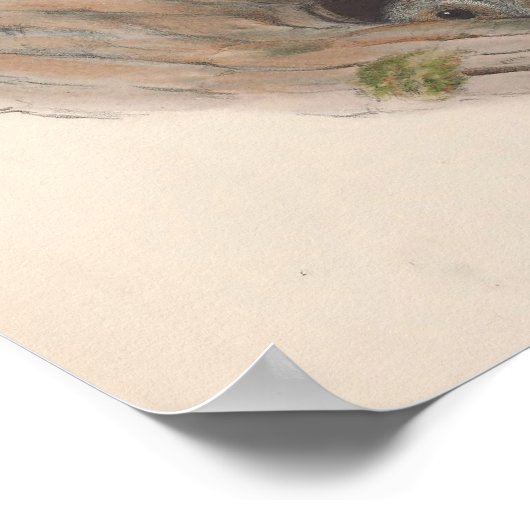  bruine struikvogel poster (Hoek)