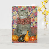 Bruine tabby kat Thanksgiving of Herfstkaart Kaart (Gele Bloem)
