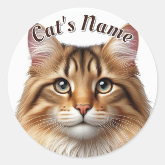  Bruine Tabby Langharige Kat · Gepersonaliseerd Ronde Sticker